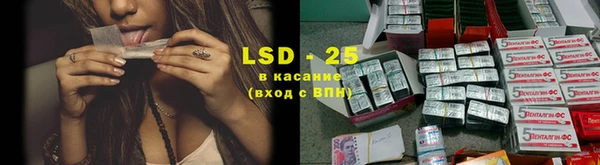 стафф Алексин