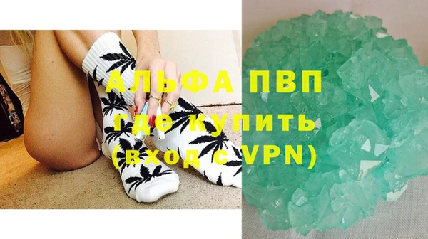 стафф Алексин