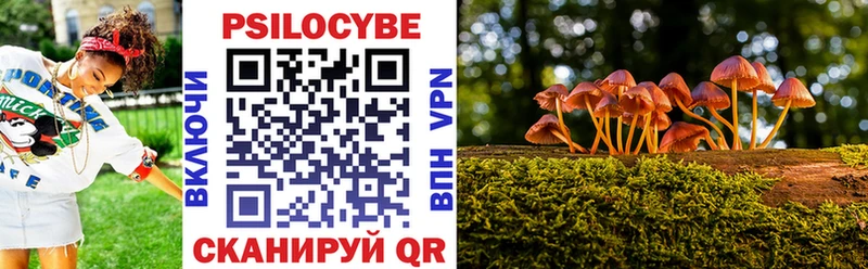 Псилоцибиновые грибы MAGIC MUSHROOMS  OMG онион  Новочеркасск 